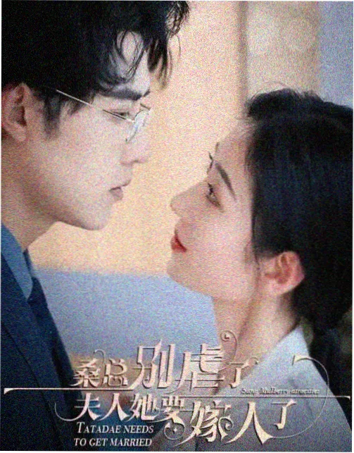 天空影视在线观看免费播放电视剧 警察荣誉